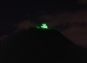 green.jpg