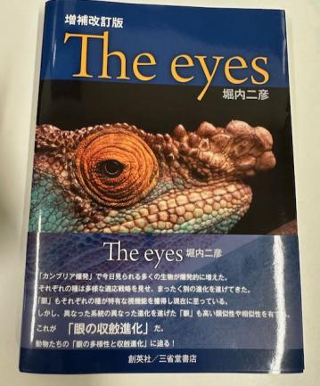 眼だよ.jpeg